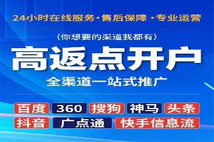 某电商平台的SEM广告投放全流程解析